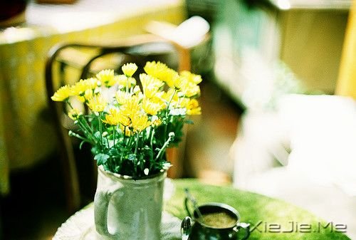 �����岻�� (4)