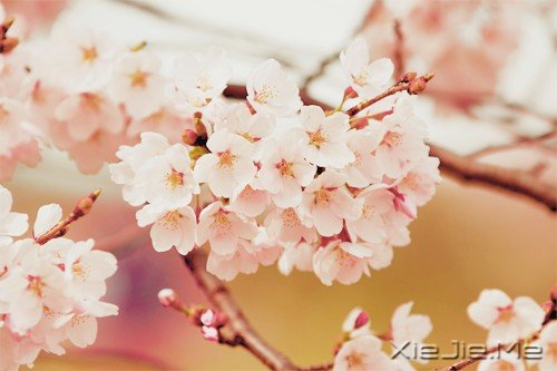 û���˻�һҹ�ı�