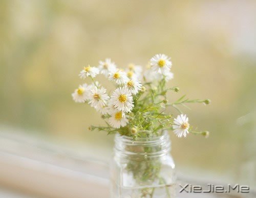 �Ĵ�м��������