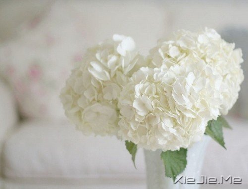 ����ܴ󣬷羰����